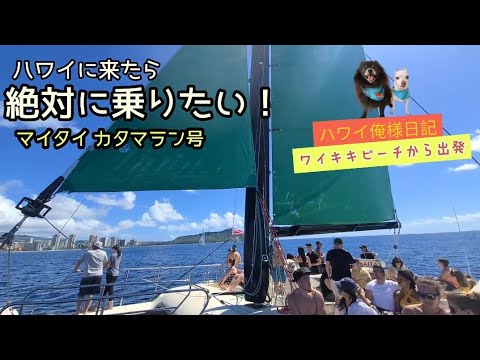 ✨ハワイ～な✨ alohaとこなっつ | まだ未体験のカタマラン サンセットクルーズ