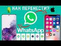 Как перенести WhatsApp с Android на iPhone? - iCareFone (2021)