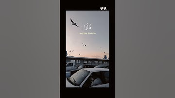 وَبَشِّرِ الصَّابِرِينَ ۝ الَّذِينَ إِذَا أَصَابَتْهُم مُّصِيبَةٌ | الآية دي ليك ❤️ #قرءان #المصحف