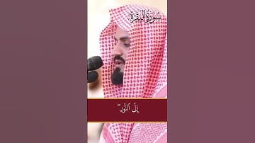 سورة البقرة الآية 257 الشيخ رعد الكردي