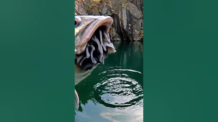 🎣 CRAZY Fish Bites Bait! 🤯 You WON'T Believe What Happened! 🐟 #fishing #shorts