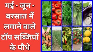 मई - जून / बरसात में लगाने वाले टॉप सब्जियों के पौधे | May / June / Rainy Season Vegetable Plants