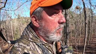 Alabama Deer Season update!! Get in the Woods!