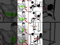 chest workout at gym 🔥🔥🔥#fitnessmotivation #explorepage #gymmotivation #chestworkout
