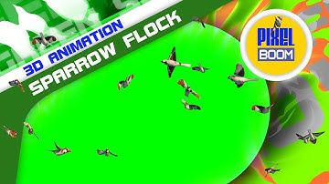 Green Screen Sparrow Flock 3D Animation - PixelBoom