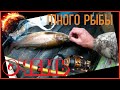 РЫБАЛКАа на ГОРНОЙ реке.  Анюй 2020.Часть вторая. БЕШЕНЫЙ КЛËВ РЫБЫ! Fishing on a mountain river.