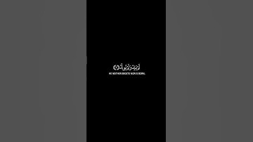 تراكب مجاني سورة الإخلاص FreeOverlay Surah Al-Ikhlas @qurancadence #الله #اسلام #قرآن #ماهرالمعيقلي