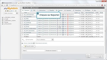 Comment importer la base de données de votre site avec OVH