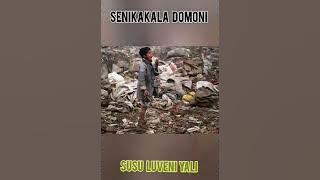 SENIKAKALA DOMONI - SUSU LUVENI YALI