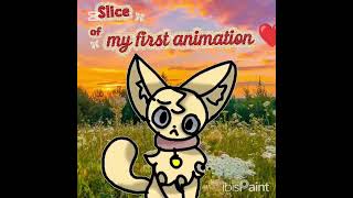 first animation #pixie #furry #fennec #cat #animation #animationedit #edit #wildlife #silly #funny