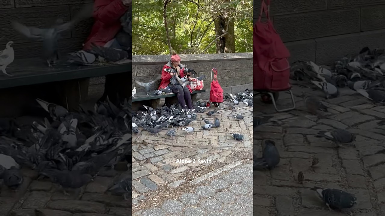 Pigeon lady. Home Alone 2. New York City. Central Park. Manhattan. New York. Kevin McCallister.