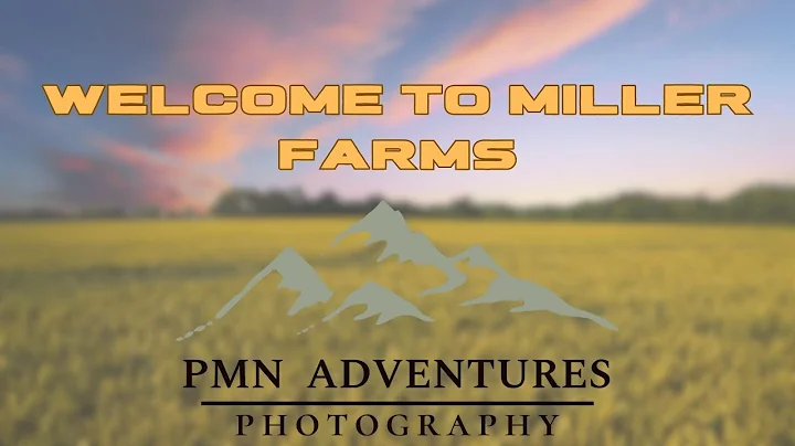 Welcome To Miller Farms