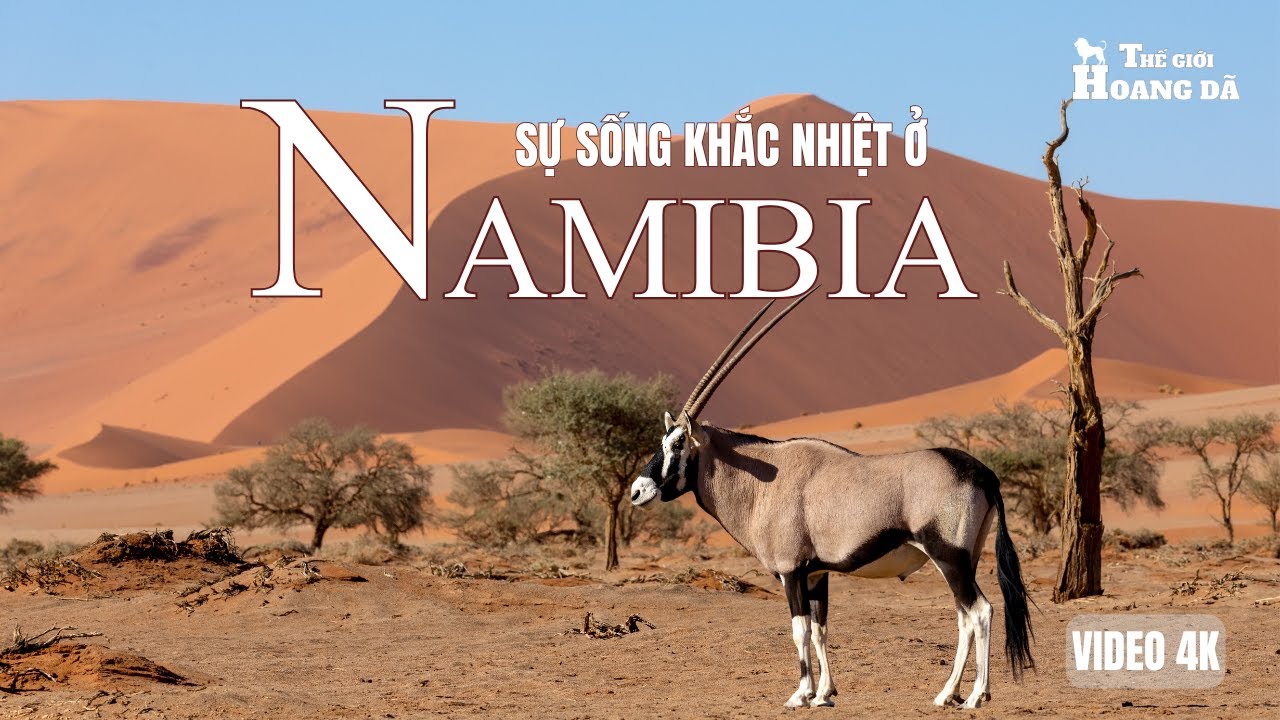 NAMIBIA HOANG DÃ - Vương Quốc Của Gió, Cát Và Những Kẻ Săn Mồi. #thegioidongvat