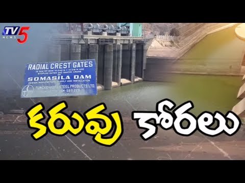 డెడ్ స్టోరేజికి చేరిన సోమశిల జలాశయం Somasila Reservoir Reached Dead Storage | TV5 News - TV5NEWS