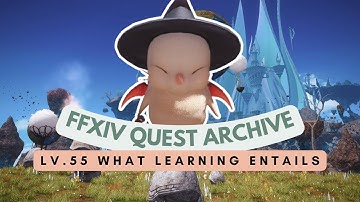Lv.55 What Learning Entails | No Commentary | FFXIV Quest Archive