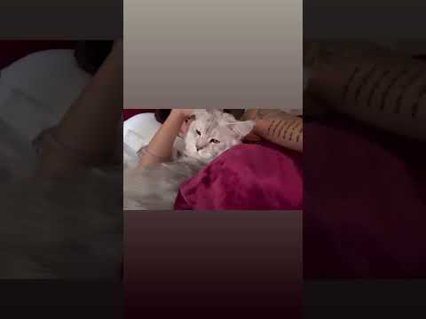 Malu Trevejo stories May 3, 2026