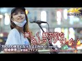 【 歌うま 】美しく魅力的な路上ライブでした! 別の人の彼女になったよ/ Wacci(cover) " 植城微香 " 新宿路上ライブ 4K映像