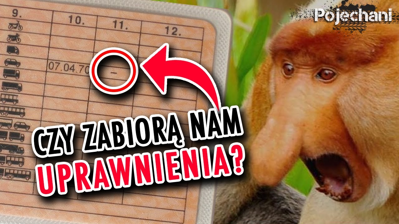 Czy to już koniec bezterminowego prawa jazdy?