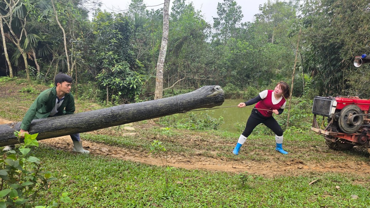 Let's pull the logs up together!