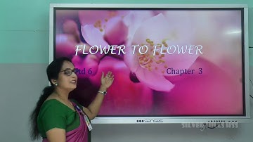 SILVER HILLS HSS | Std VI | Basic Science | FLOWER TO FLOWER | Ms Reena k