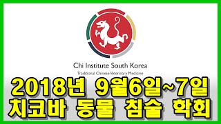 2018년 치코바 동물 침술 학회 영상 - 동물 병원 한방 재활 침 치료 수의사
