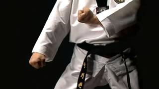 Taekwondo WTF   Basic motions, Kukkiwon Vol. 1