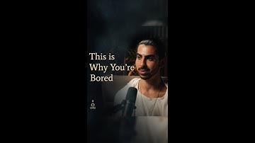 THIS is Why You