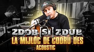 Zdob Şi Zdub - La Mijloc De Codru Des (Acoustic Live)