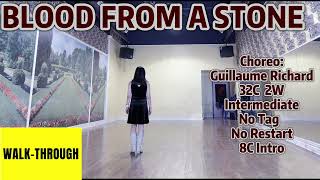 BLOOD FROM A STONE Line Dance (WALK-THROUGH) | Intermediate | Guillaume Richard