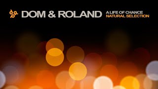 Dom & Roland - A Life Of Chance