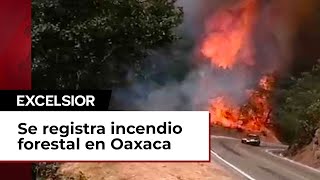 Se registra incendio forestal en zona de Oaxaca