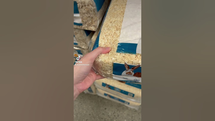 Do NOT Buy Pine Bedding For Hamsters | Hamster Care #hamster #hamstercare #shorts #pets