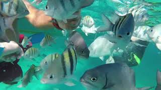 Belize 2019 spring break