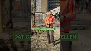 Boomverzorger - Donkergroen - Shortclips - Short Video Content