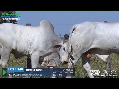 LOTE 140 - DUPLO - 16º Mega Leilão Genética Aditiva e Convidados