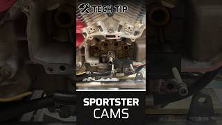 H-D Sportster Cams tip! #motorcycle #harleydavidson #harley #shorts #short #mechanic #sportster