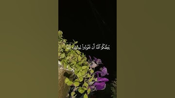 وَتَحْسَبُونَهُ هَيِّنًا وَهُوَ عِندَ اللَّهِ عَظِيمٌ💜آيات عطرة من سورة النور🥀 #قرآن