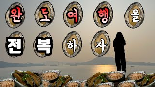 전복에 질리다... 완도 여행 2 | 완도맛집 | 완도타워 | 완도차박 | 청해포구 촬영장 | 완도 전복 맛집 | 완도 여행코스 | 완도 현지인 맛집 | 186