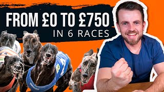 Can You Win Money Betting Only On The Inside Track? - Professional Greyhound Betting screenshot 5