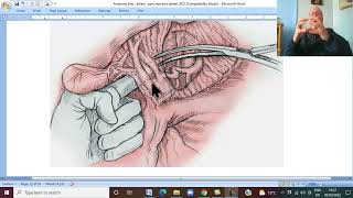 Anatomy GIT Module in Arabic 31 ( Liver, part 5 , applied anatomy ) ,  by Dr, Wahdan