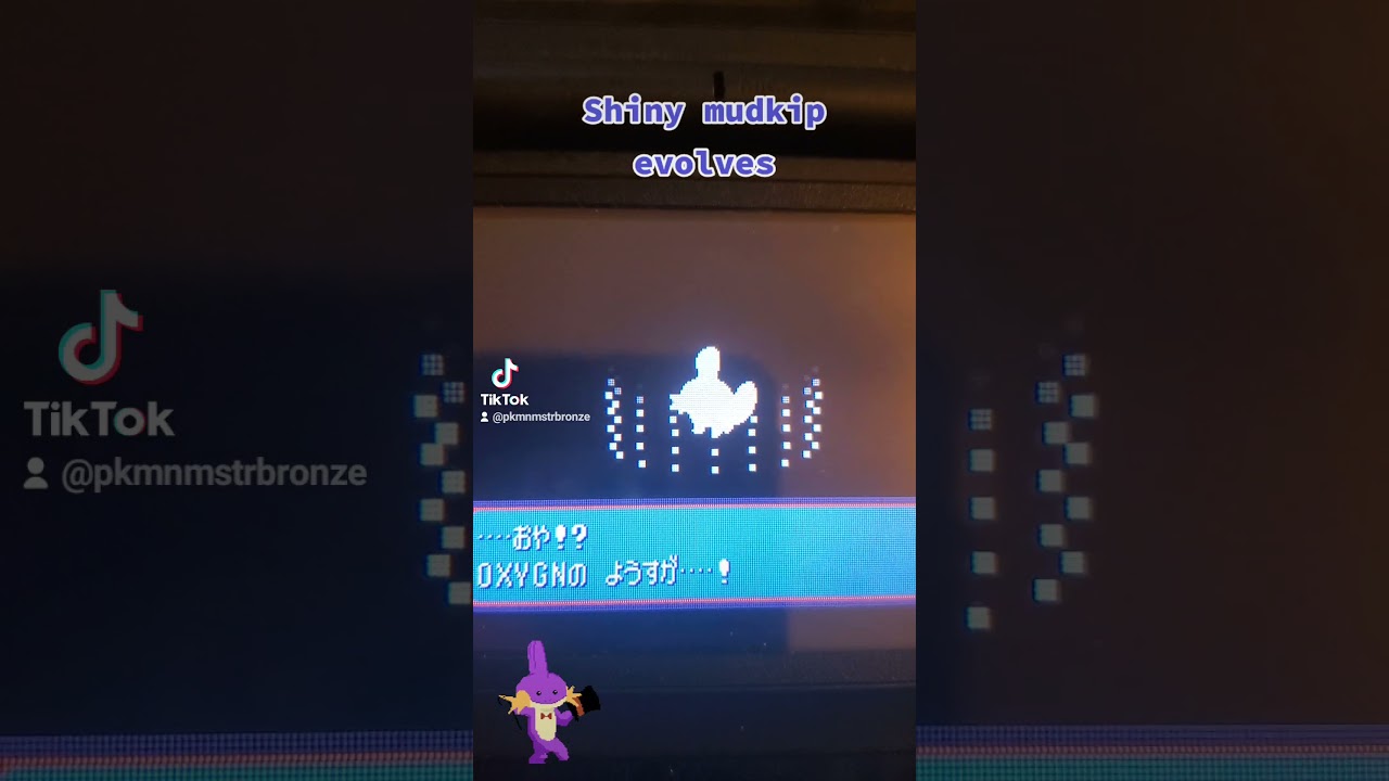 Shiny Mudkip Evolves (Pokemon Sapphire) 