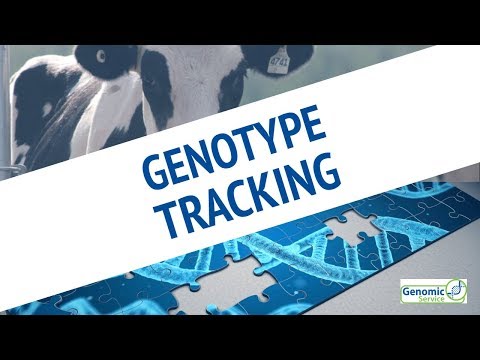 How to track Genomic samples on ICBF