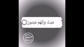 ﴿إنك ميت وإنهم ميتون﴾ تلاوة من سورة الزمر | همسات دينية