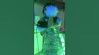 COCONA  - Yellow Funky | 20240607 @ Cream