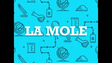 In che via si trova la Mole?