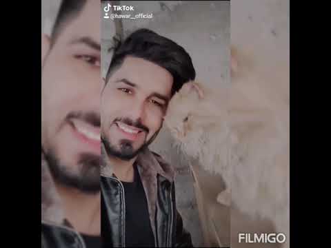 ساجدة عبيد موال اسرع من الذيب عيوني لافندي