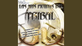 Cumbia Sabrosa