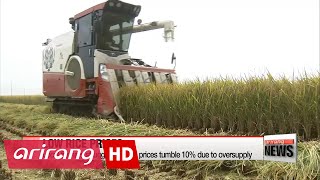 Local farmers struggling as rice prices tumble 10% amid oversupply