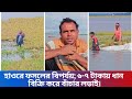 হাওরে ফসলের বিপর্যয়; ৬-৭ টাকায় ধান বিক্রি করে বাঁচার লড়াই।#Crop#disaster#haor#6–7#taka#viral#short
