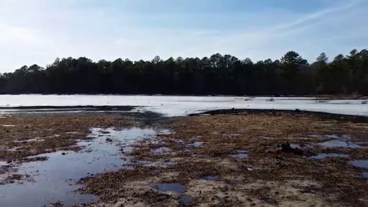Calverton Ponds Preserve YouTube